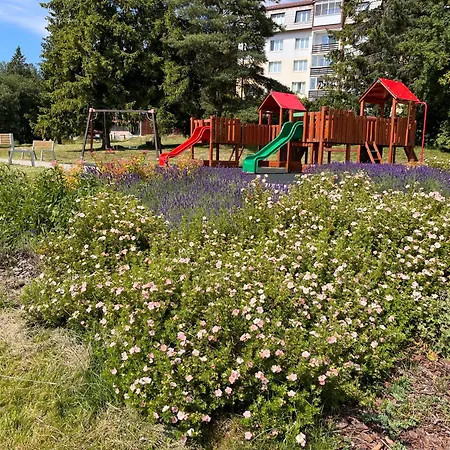 Cozy By The Forest Tatranska Strba